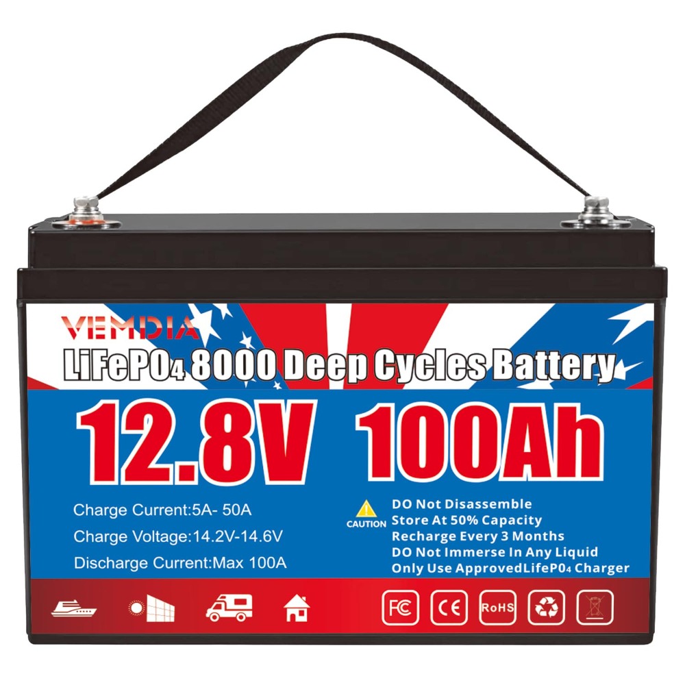 12.8V 100Ah LiFePO4 배터리 내장 BMS - Outdoor Camping Essential Gear 리뷰 및 가격